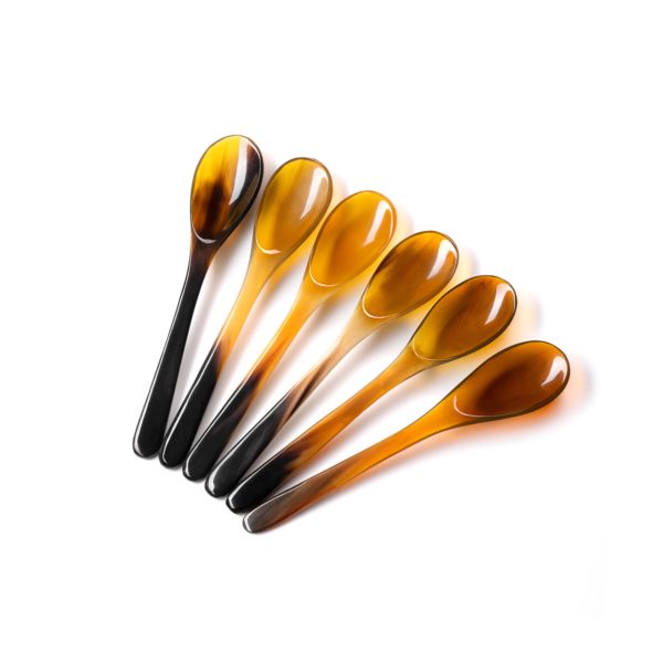 HORN ACCESSORIES